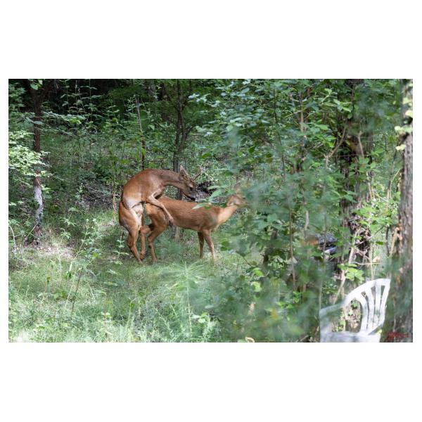 PHOTO84, CLUB, 84 , LUBERON